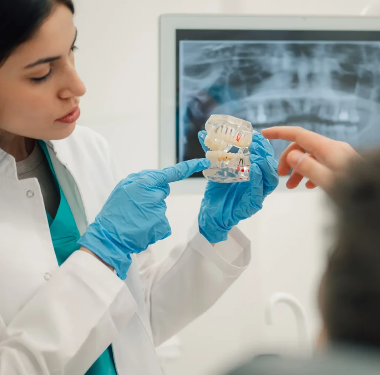 Dentist showing jaw model
