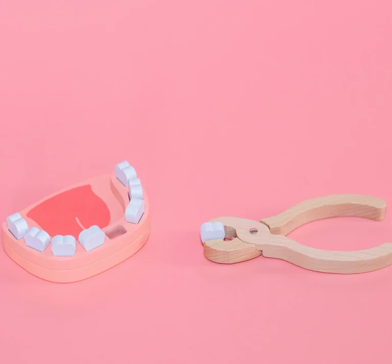 Tooth removal demonstration model